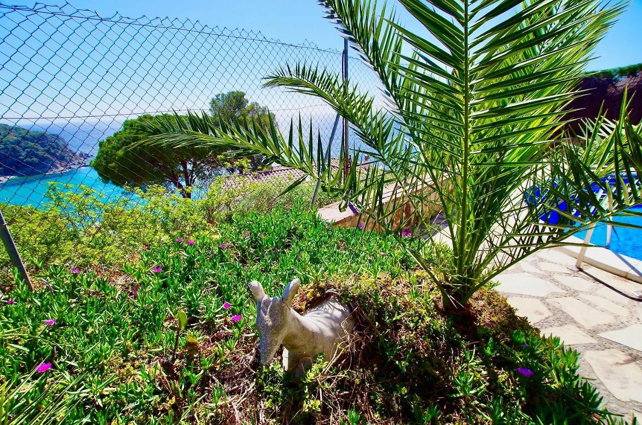 Дом отдыха V&V Lloret- Villa Mediterrania, Vistas Panoramicas Al Mar Льорет-де-Мар
